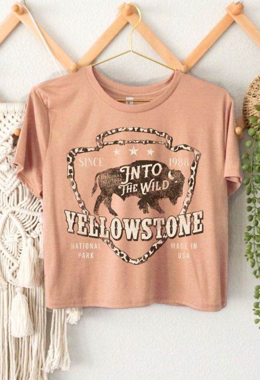 Yellowstone Buffalo 🦬